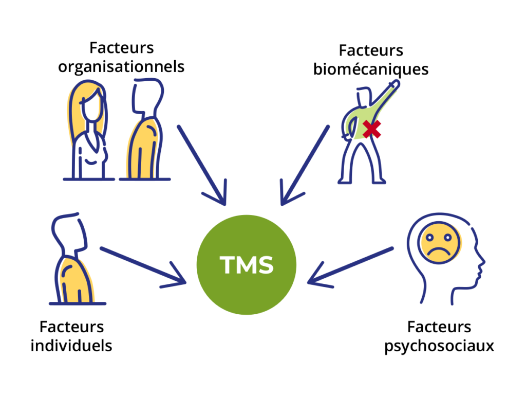 Prévention des Troubles Musculo Squelettiques (TMS)